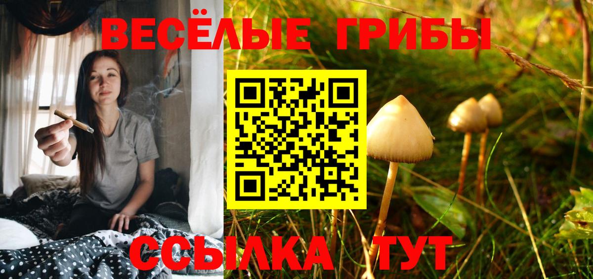 Псилоцибиновые грибы MAGIC MUSHROOMS  Вход с VPN  Братск 