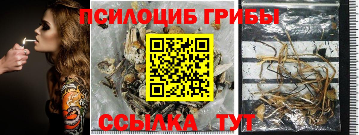 Галлюциногенные грибы Cubensis Братск